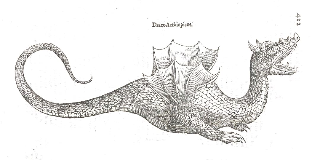 Grabado de un dragón de alas membranosas y cola enroscada, con la boca abierta.