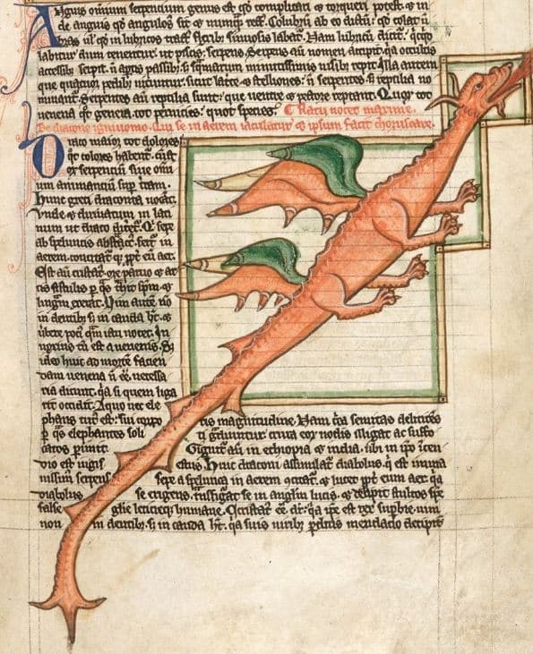Miniatura medieval de un dragón anaranjado de alas verdes que atraviesa una columna de texto latino.